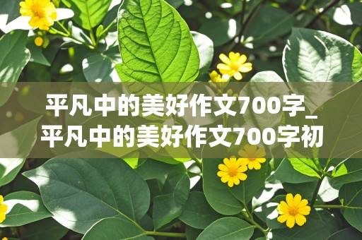 平凡中的美好作文700字_平凡中的美好作文700字初中