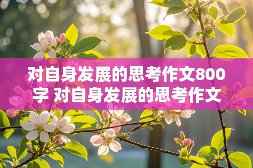 对自身发展的思考作文800字 对自身发展的思考作文800字议论文