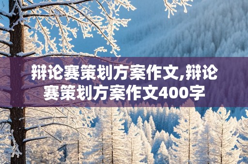 辩论赛策划方案作文,辩论赛策划方案作文400字