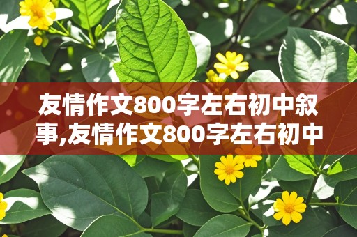 友情作文800字左右初中叙事,友情作文800字左右初中叙事带题目