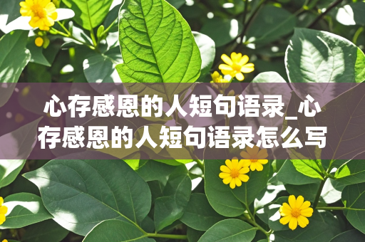 心存感恩的人短句语录_心存感恩的人短句语录怎么写