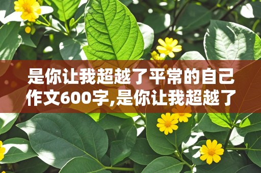 是你让我超越了平常的自己作文600字,是你让我超越了平常的自己作文600字写老师