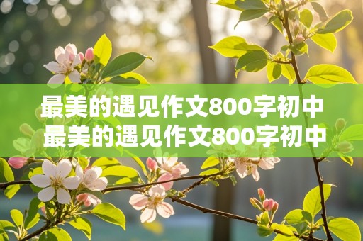 最美的遇见作文800字初中 最美的遇见作文800字初中作文