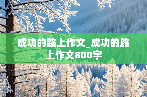 成功的路上作文_成功的路上作文800字