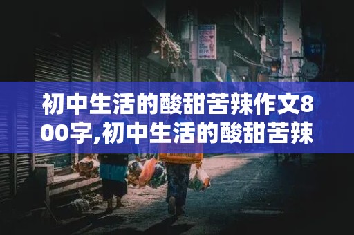 初中生活的酸甜苦辣作文800字,初中生活的酸甜苦辣作文800字初三