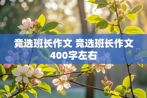 竞选班长作文 竞选班长作文400字左右