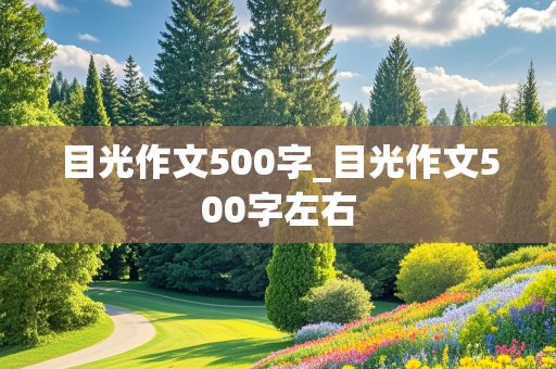 目光作文500字_目光作文500字左右