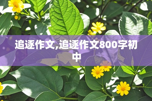 追逐作文,追逐作文800字初中