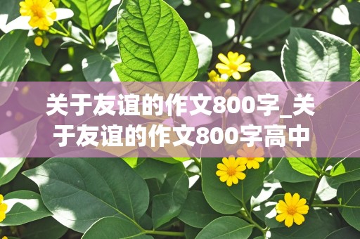 关于友谊的作文800字_关于友谊的作文800字高中