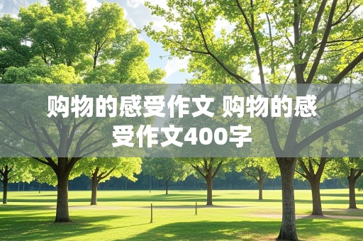 购物的感受作文 购物的感受作文400字