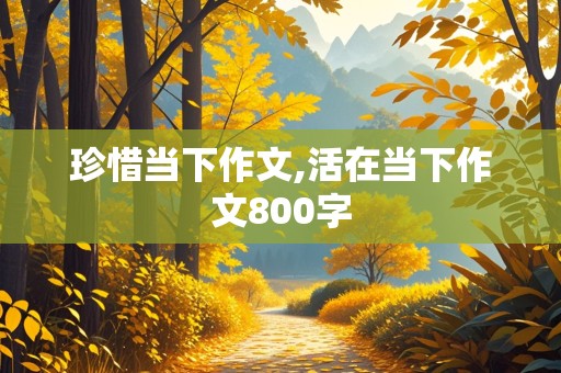 珍惜当下作文,活在当下作文800字