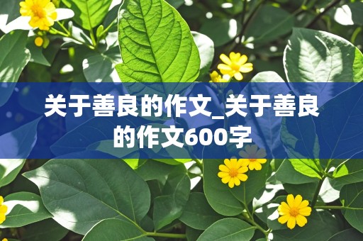 关于善良的作文_关于善良的作文600字