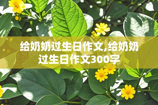 给奶奶过生日作文,给奶奶过生日作文300字