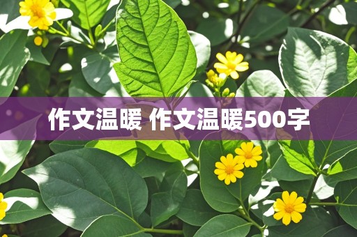 作文温暖 作文温暖500字