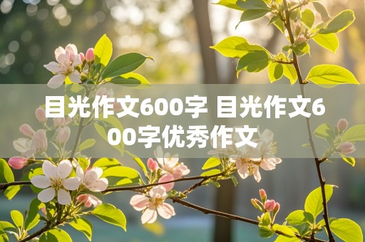 目光作文600字 目光作文600字优秀作文