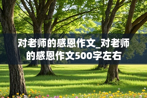 对老师的感恩作文_对老师的感恩作文500字左右