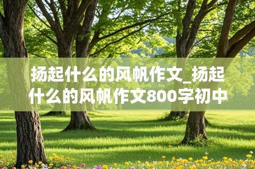 扬起什么的风帆作文_扬起什么的风帆作文800字初中