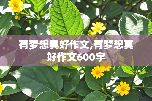 有梦想真好作文,有梦想真好作文600字