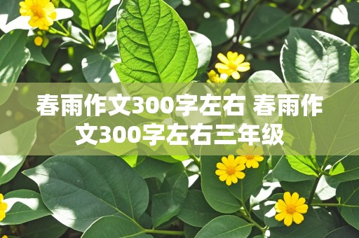 春雨作文300字左右 春雨作文300字左右三年级