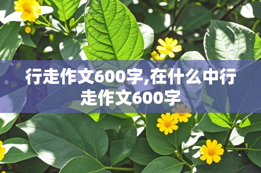 行走作文600字,在什么中行走作文600字