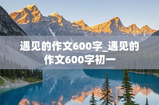 遇见的作文600字_遇见的作文600字初一