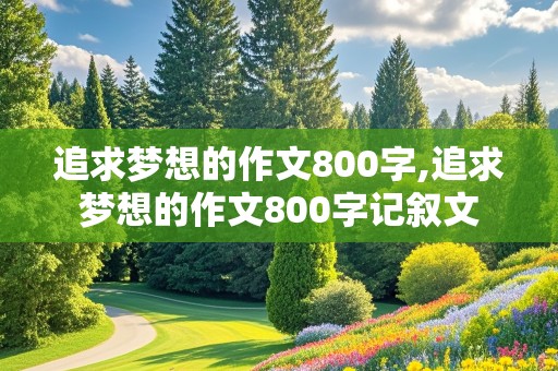 追求梦想的作文800字,追求梦想的作文800字记叙文