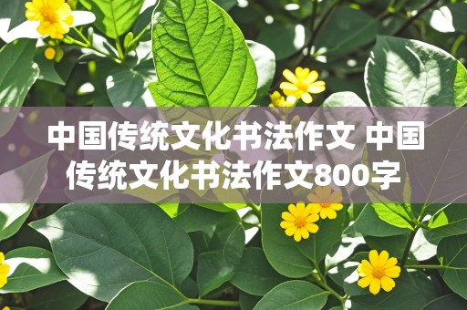 中国传统文化书法作文 中国传统文化书法作文800字