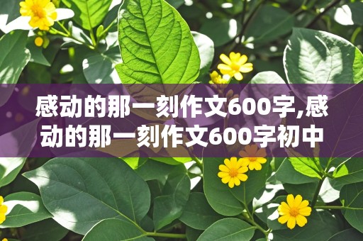 感动的那一刻作文600字,感动的那一刻作文600字初中