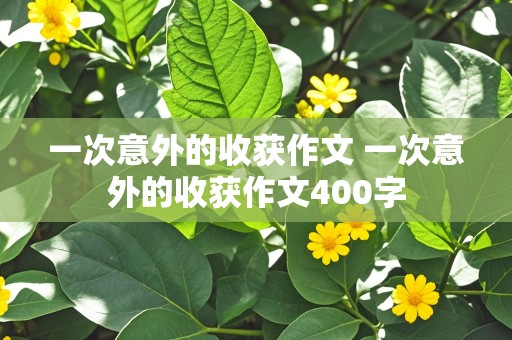 一次意外的收获作文 一次意外的收获作文400字