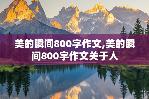 美的瞬间800字作文,美的瞬间800字作文关于人