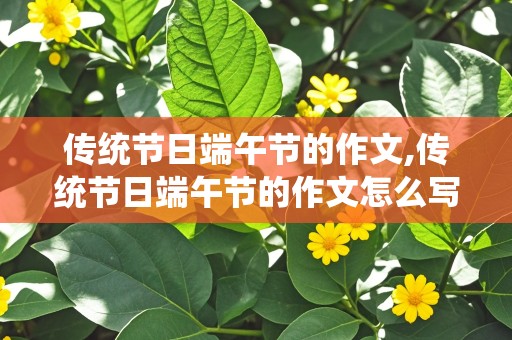 传统节日端午节的作文,传统节日端午节的作文怎么写300字左右