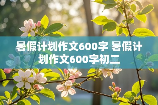 暑假计划作文600字 暑假计划作文600字初二