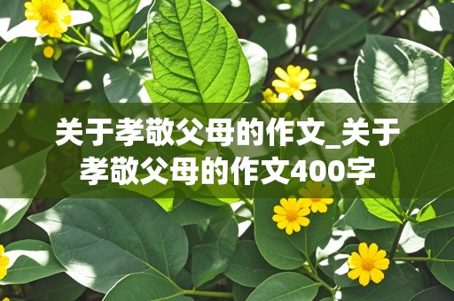 关于孝敬父母的作文_关于孝敬父母的作文400字