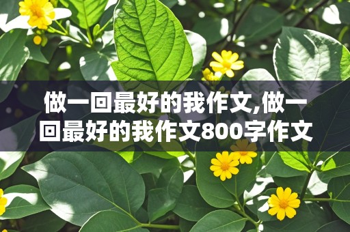 做一回最好的我作文,做一回最好的我作文800字作文