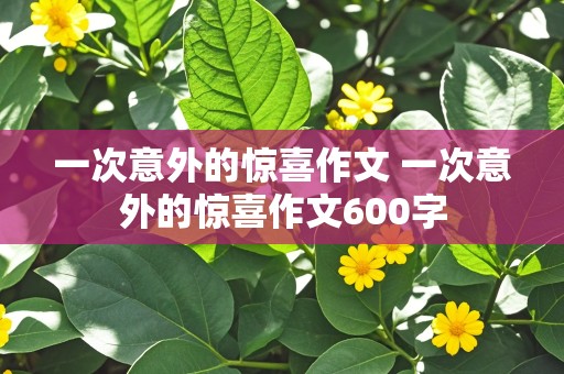 一次意外的惊喜作文 一次意外的惊喜作文600字