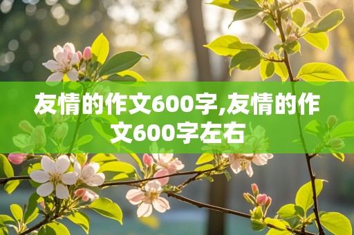 友情的作文600字,友情的作文600字左右