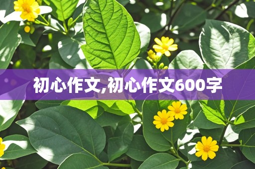 初心作文,初心作文600字