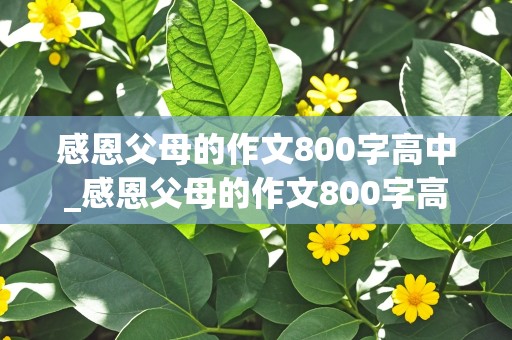 感恩父母的作文800字高中_感恩父母的作文800字高中议论文