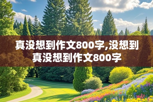 真没想到作文800字,没想到真没想到作文800字