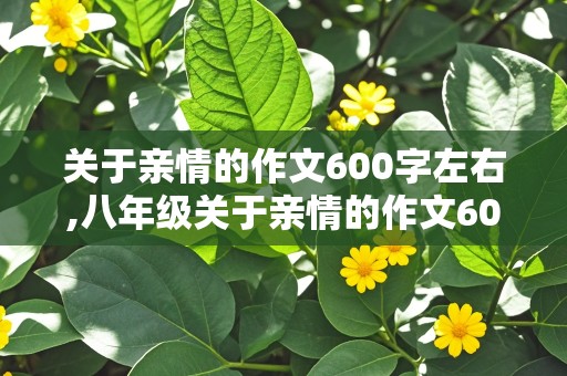 关于亲情的作文600字左右,八年级关于亲情的作文600字左右