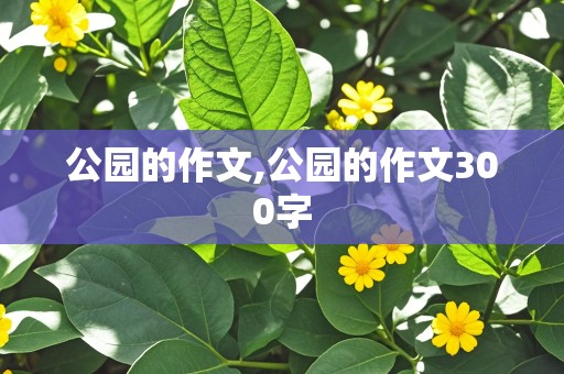 公园的作文,公园的作文300字