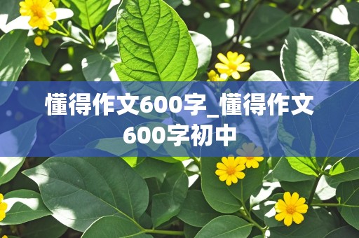 懂得作文600字_懂得作文600字初中