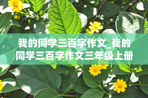 我的同学三百字作文_我的同学三百字作文三年级上册