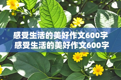 感受生活的美好作文600字 感受生活的美好作文600字作文