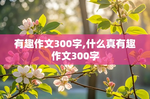 有趣作文300字,什么真有趣作文300字