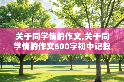 关于同学情的作文,关于同学情的作文600字初中记叙文