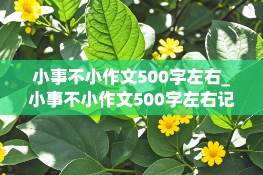 小事不小作文500字左右_小事不小作文500字左右记叙文