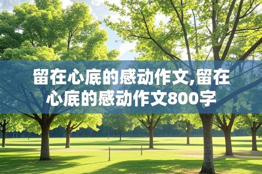 留在心底的感动作文,留在心底的感动作文800字