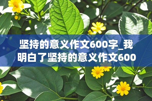 坚持的意义作文600字_我明白了坚持的意义作文600字