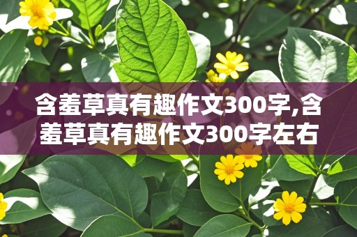 含羞草真有趣作文300字,含羞草真有趣作文300字左右